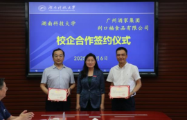 29fa6d595f364b9aa2264d344287e40c.png image.png